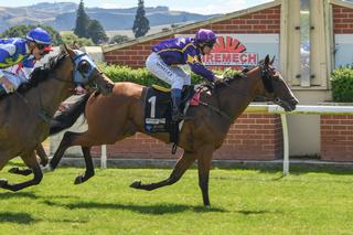 Air Max (NZ) is now a dual Guineas winner after claiming the 2018 Gore Listed Guineas. Photo: Wild Range Photography.